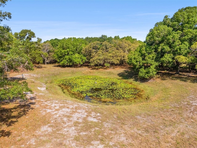 18509 Jiretz Rd, Odessa, FL 33556