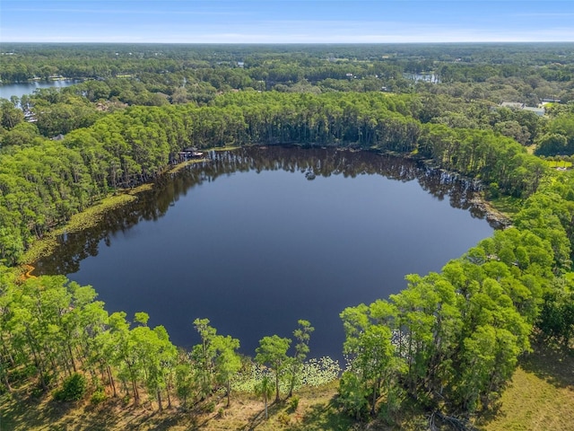 18509 Jiretz Rd, Odessa, FL 33556