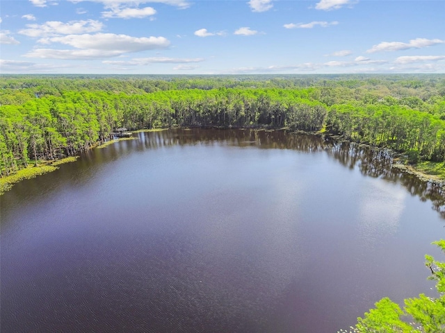 18509 Jiretz Rd, Odessa, FL 33556