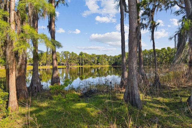 18509 Jiretz Rd, Odessa, FL 33556