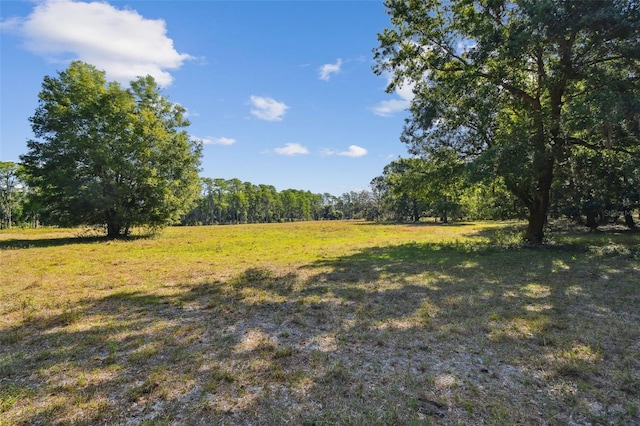 18509 Jiretz Rd, Odessa, FL 33556