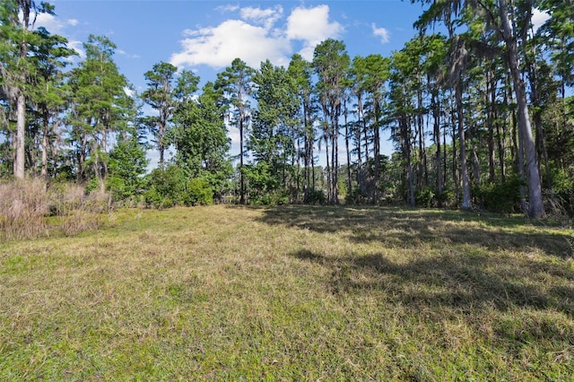 18509 Jiretz Rd, Odessa, FL 33556