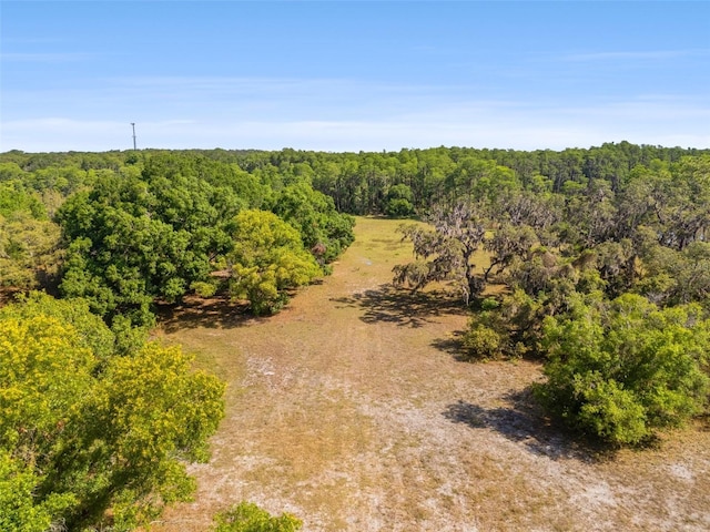18509 Jiretz Rd, Odessa, FL 33556