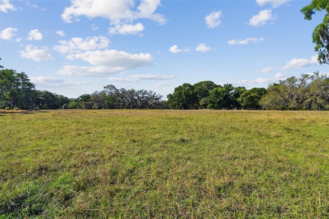 18509 Jiretz Rd, Odessa, FL 33556
