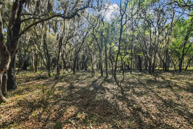 18509 Jiretz Rd, Odessa, FL 33556