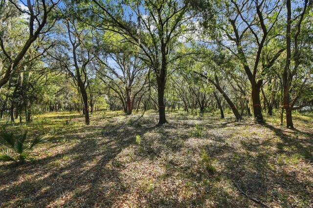 18509 Jiretz Rd, Odessa, FL 33556