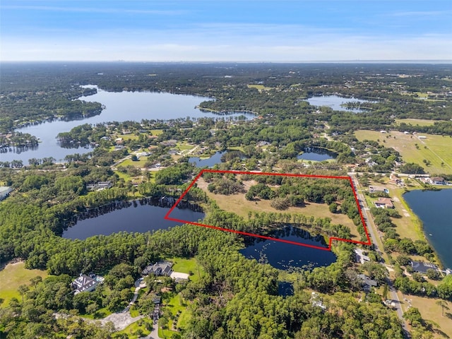 18509 Jiretz Rd, Odessa, FL 33556 - photo 1