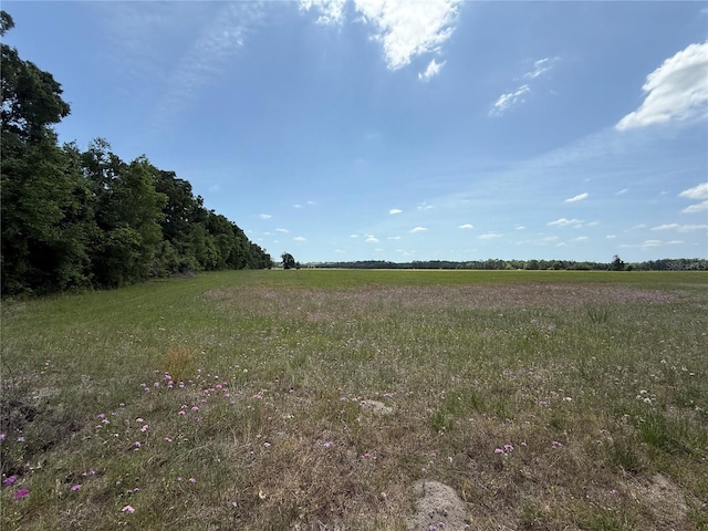 0 NW 11th Ave, Chiefland, FL 32626 - photo 5