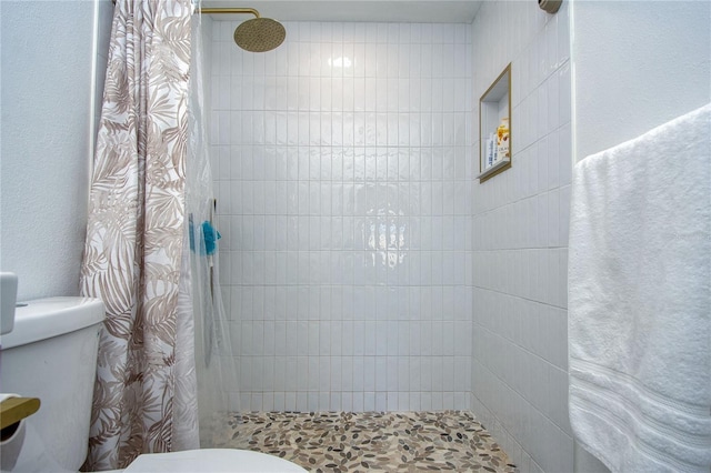 2870 Rampart Cir, Clearwater, FL 33761 - bathroom featuring toilet and a tile shower