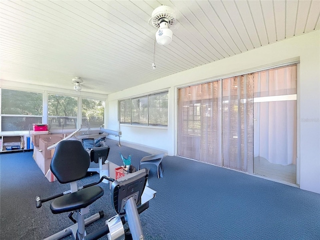 10520 Tapestry Dr, Port Richey, FL 34668 - view of sunroom
