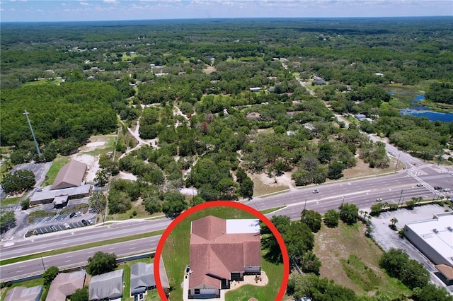 10520 Tapestry Dr, Port Richey, FL 34668 - drone / aerial view of a forest