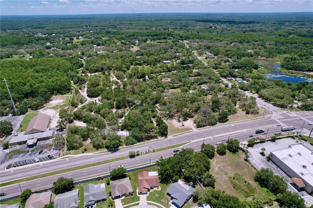10520 Tapestry Dr, Port Richey, FL 34668 - bird's eye view of a forest