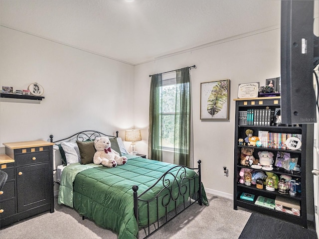17012 Oval Rum Dr, Wimauma, FL 33598 - bedroom with carpet and baseboards