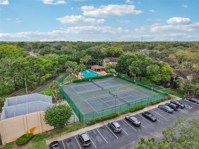 14107 Mossy Glen Ln Unit 203, Tampa, FL 33613 - photo 24