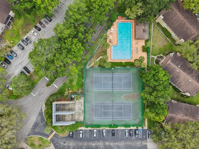 14107 Mossy Glen Ln Unit 203, Tampa, FL 33613 - photo 22