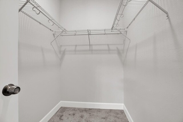 4071 45th Ave N, Saint Petersburg, FL 33714 - spacious closet featuring carpet