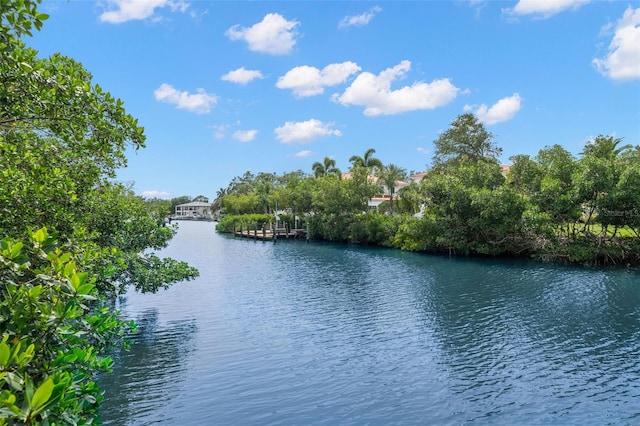 419 S Shore Crest Dr, Tampa, FL 33609 - photo 3