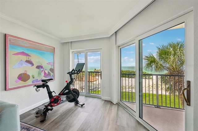 7564 Bayshore Dr Unit 302, Treasure Island, FL 33706 - exercise area featuring wood finished floors, crown molding, and baseboards