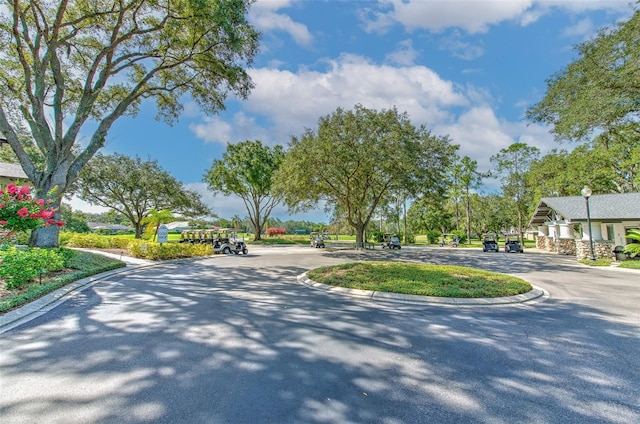 view of asphalt street with street lights and curbs