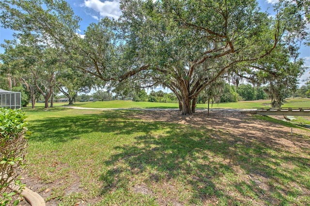 view of green lawn