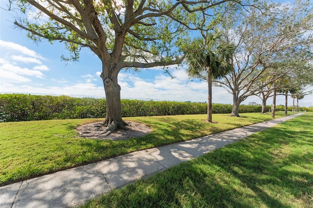 7075 Sunset Dr S, South Pasadena, FL 33707 - view of home's community featuring a lawn