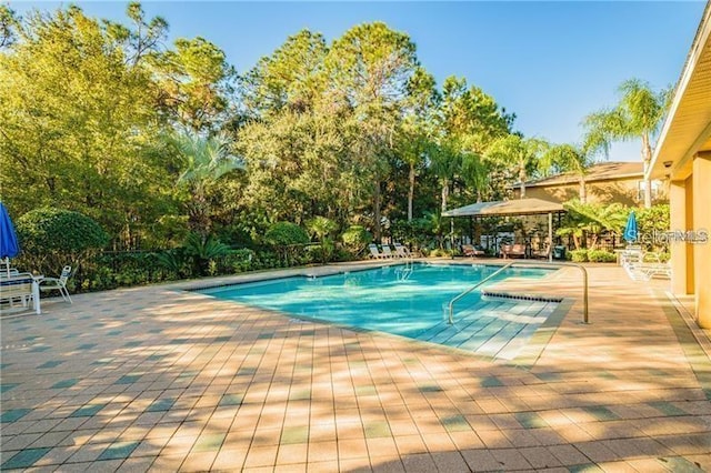 8423 Edgewater Place Blvd, Tampa, FL 33615 - community pool featuring a patio and view of scattered trees