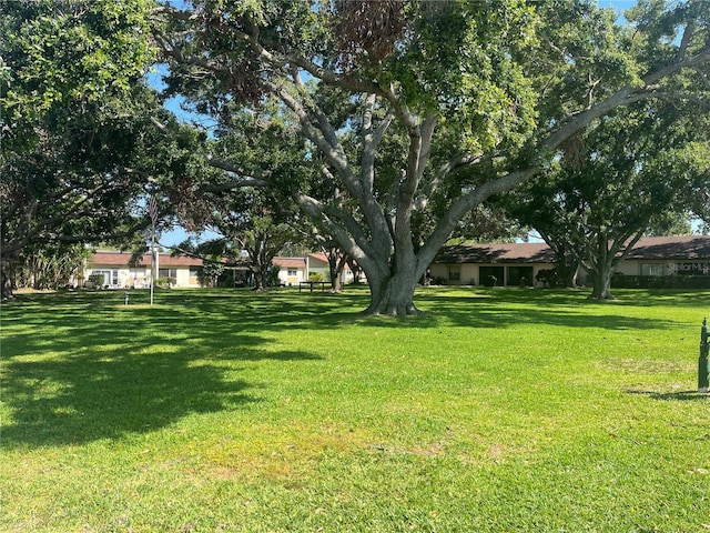 11511 113th St Unit 5C, Largo, FL 33778 - view of green lawn