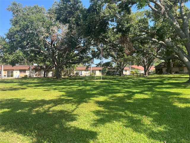 11511 113th St Unit 5C, Largo, FL 33778 - view of grassy yard