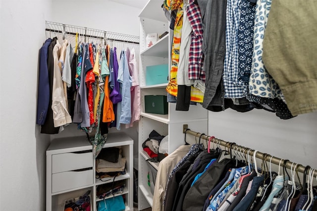 3245 Freemont Ter S, Saint Petersburg, FL 33712 - view of walk in closet