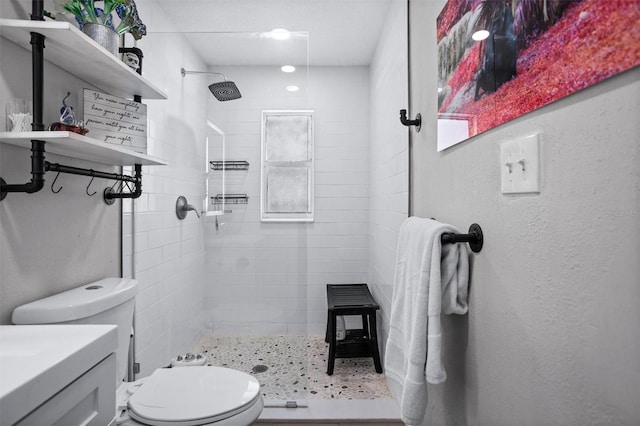 3245 Freemont Ter S, Saint Petersburg, FL 33712 - full bath with toilet and a shower stall