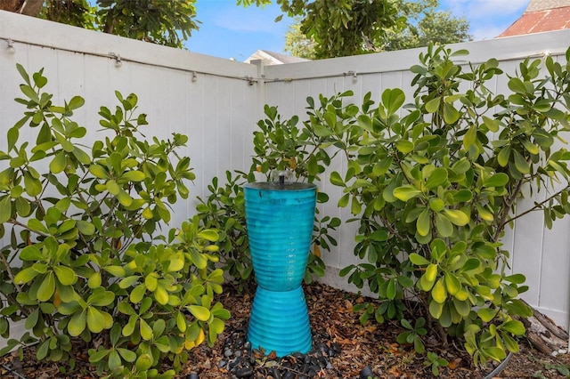 3245 Freemont Ter S, Saint Petersburg, FL 33712 - exterior view of a fenced backyard