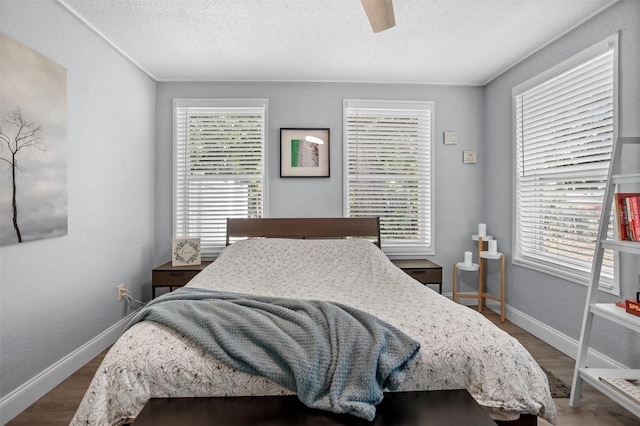 3245 Freemont Ter S, Saint Petersburg, FL 33712 - bedroom with multiple windows, wood finished floors, a textured ceiling, and baseboards