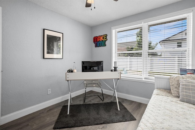 3245 Freemont Ter S, Saint Petersburg, FL 33712 - office with baseboards, plenty of natural light, ceiling fan, wood finished floors, and a textured ceiling