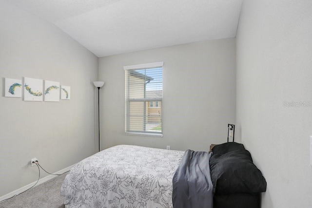 29901 Southwell Ln, Wesley Chapel, FL 33543 - bedroom featuring carpet and baseboards