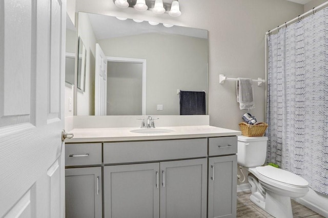 29901 Southwell Ln, Wesley Chapel, FL 33543 - full bath with toilet, vanity, and curtained shower