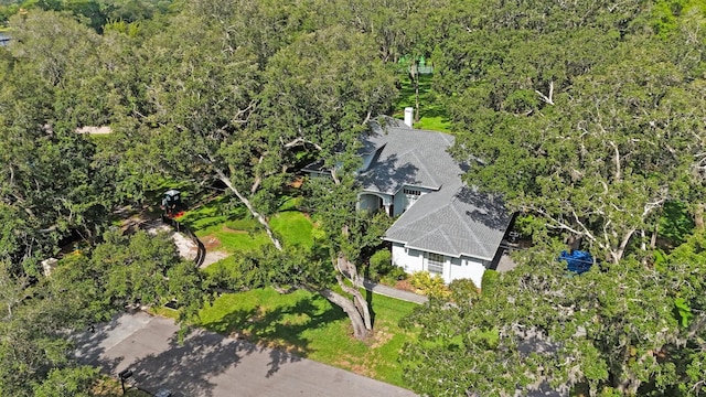 12002 Hope Ln, Tampa, FL 33618 - view from above of property with a forest