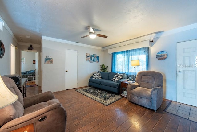 8305 75th Pl, Seminole, FL 33777 - living room with a ceiling fan, wood finished floors, attic access, crown molding, and a textured ceiling