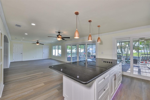 10922 Park Dr, Riverview, FL 33569 - kitchen featuring white cabinets, ornamental molding, a ceiling fan, wood finished floors, and recessed lighting