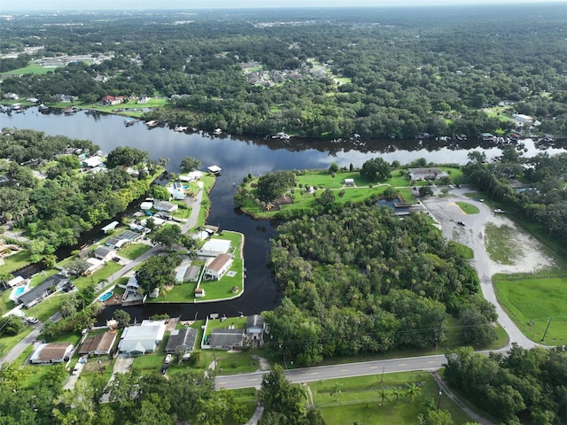 10922 Park Dr, Riverview, FL 33569 - aerial view of property's location with a large body of water and a forest