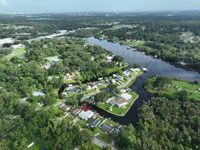 10922 Park Dr, Riverview, FL 33569 - aerial view of property's location featuring a large body of water and a forest
