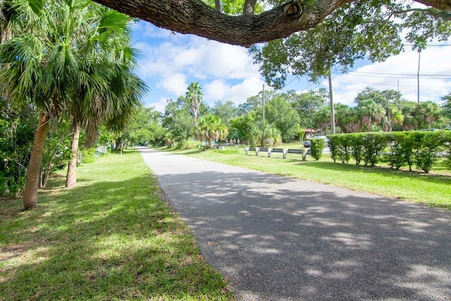 351 Hancock St, Dunedin, FL 34698 - view of asphalt road featuring view of wooded area