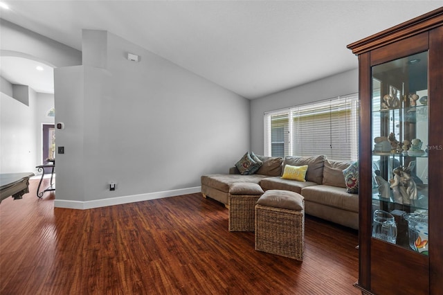 18631 Le Dauphine Pl, Lutz, FL 33558 - living room with lofted ceiling, dark wood-style floors, baseboards, arched walkways, and recessed lighting