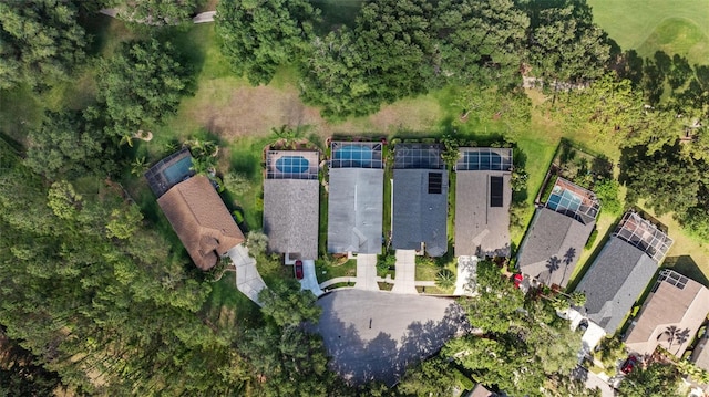 18631 Le Dauphine Pl, Lutz, FL 33558 - drone / aerial view