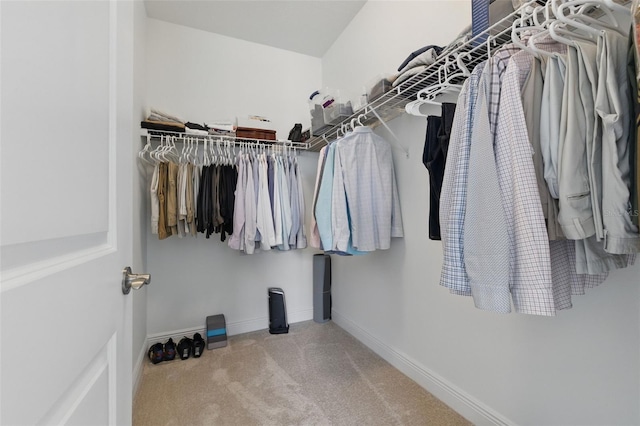 walk in closet featuring carpet flooring