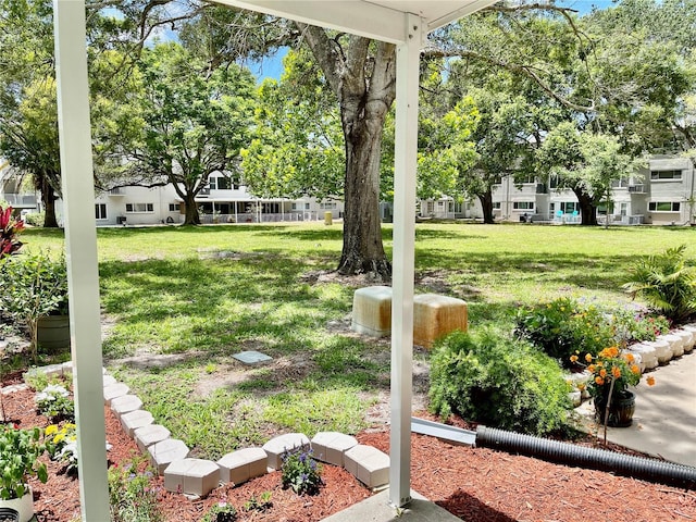 2293 Swedish Dr Unit 11, Clearwater, FL 33763 - view of green lawn