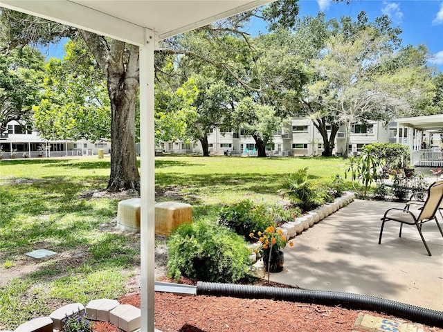 2293 Swedish Dr Unit 11, Clearwater, FL 33763 - view of grassy yard with a patio