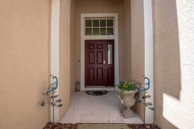 11021 Silver Dancer Dr, Riverview, FL 33579 - entrance to property with stucco siding