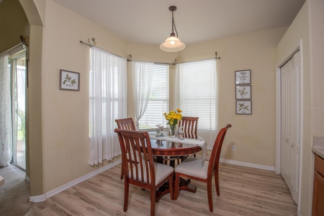 11021 Silver Dancer Dr, Riverview, FL 33579 - dining area featuring arched walkways, light wood finished floors, and plenty of natural light