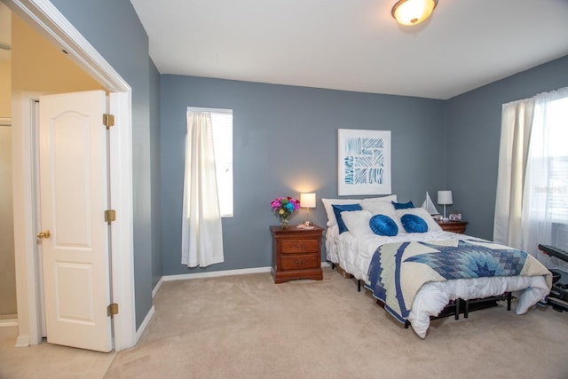 11021 Silver Dancer Dr, Riverview, FL 33579 - bedroom featuring light carpet and baseboards