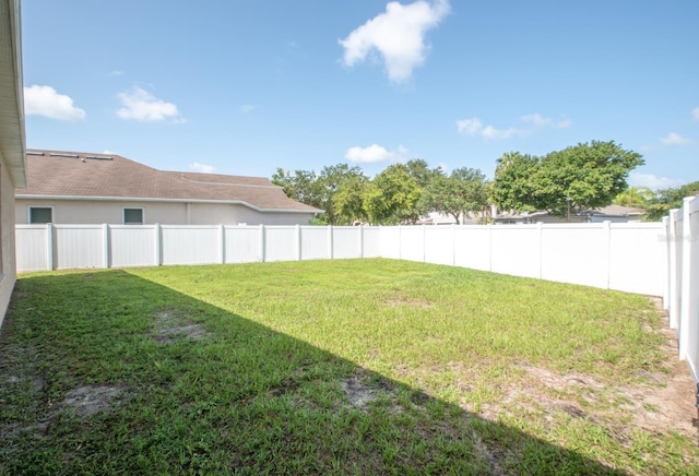 11021 Silver Dancer Dr, Riverview, FL 33579 - view of yard